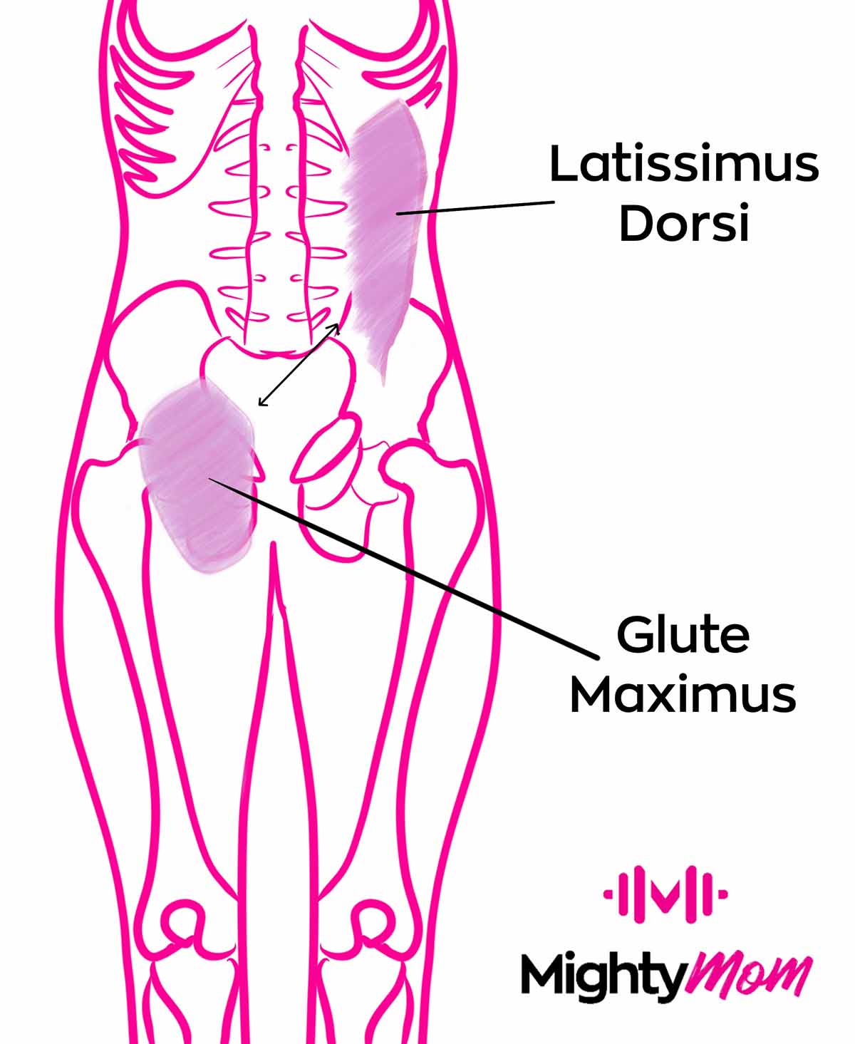 Anterior Oblique Sling